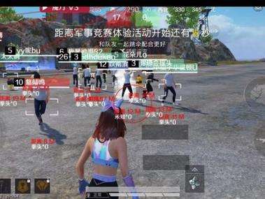 和平精英有名外挂